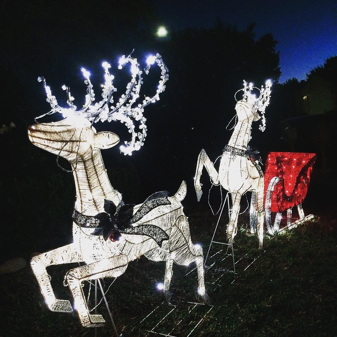 crispy LED reindeer 🦄🎁