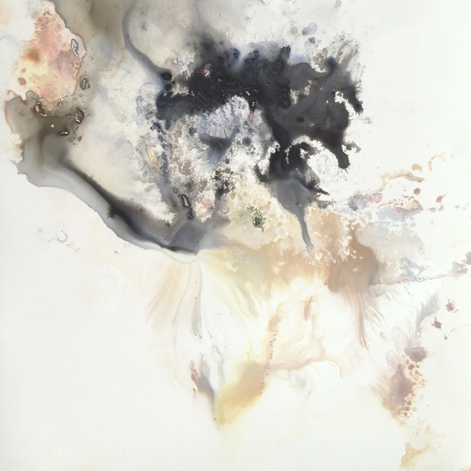 Abstract Organic Contrmporary V - 9x9