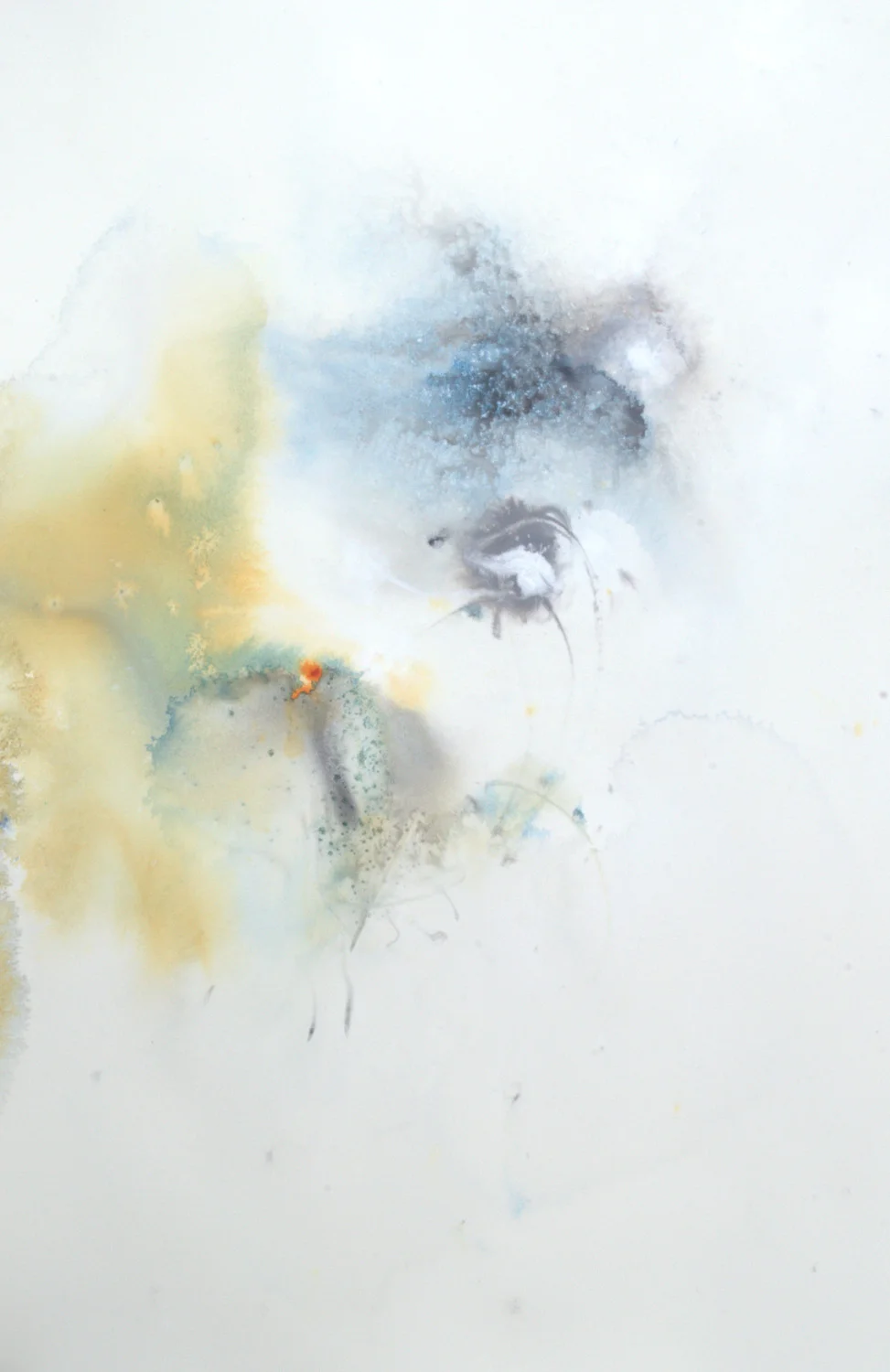 Wedgewood Light IV - 20 x 14