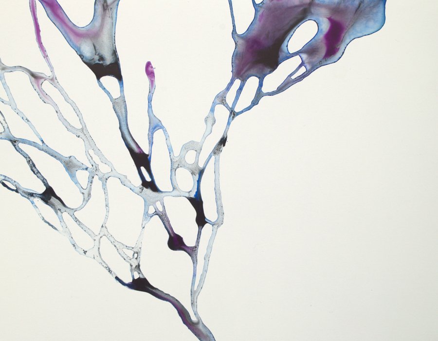 Blue Sea Fan II - 11 x 14