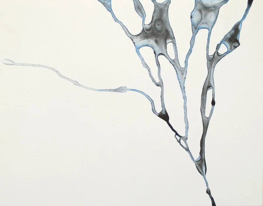 Blue Sea Fan IV - 11 x 14