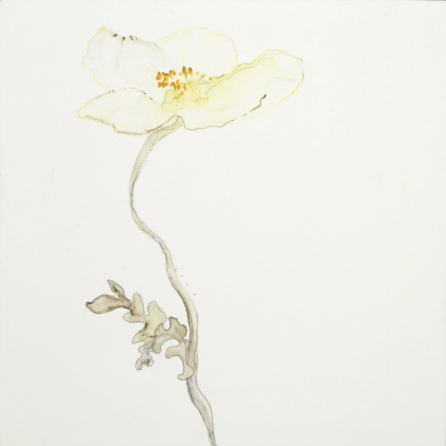 Delicate Floral I - 10x10