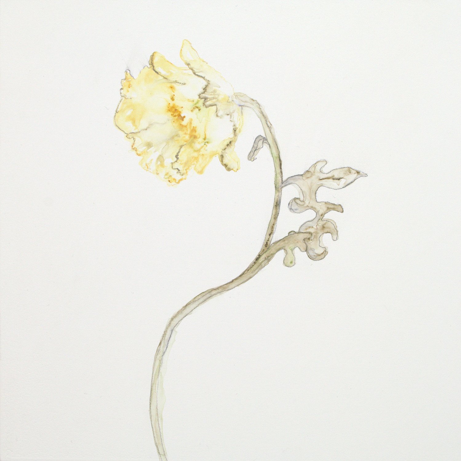 Delicate Floral IV - 10x10