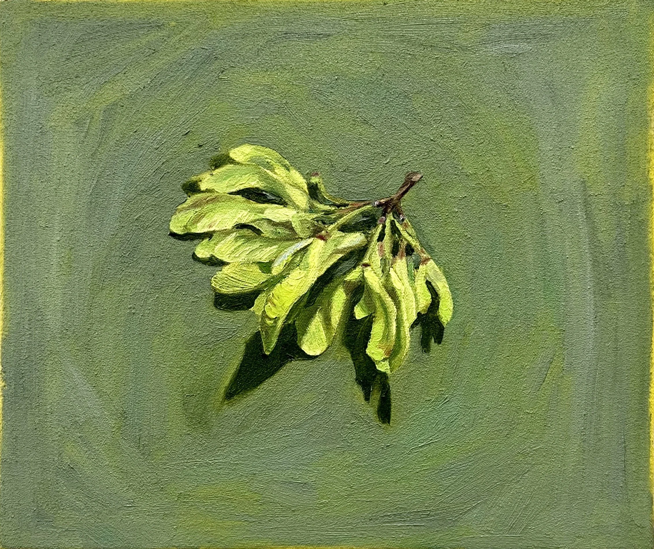 Maple keys on celadonite, 2025, oil on canvas, 12"x14"