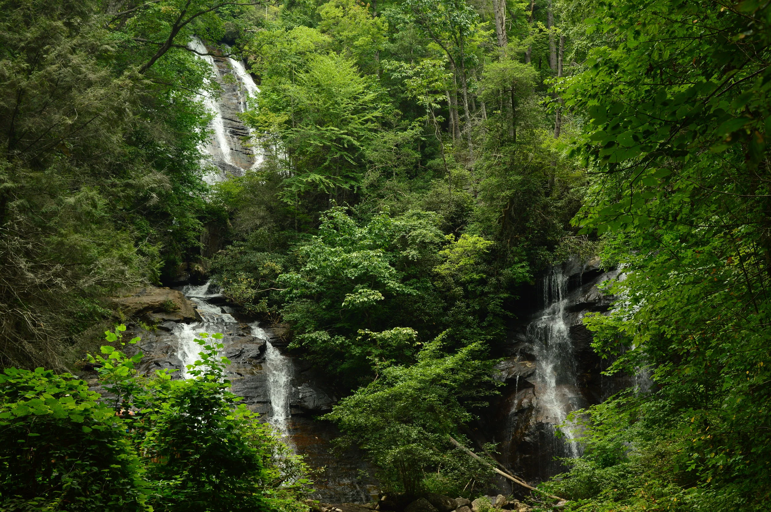 DSC_3011.JPG