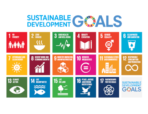 E_2016_SDG_Poster_all_sizes_without_UN_emblem_Letter.png