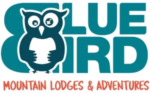 BLUEBIRD_Logo_web_big.jpg