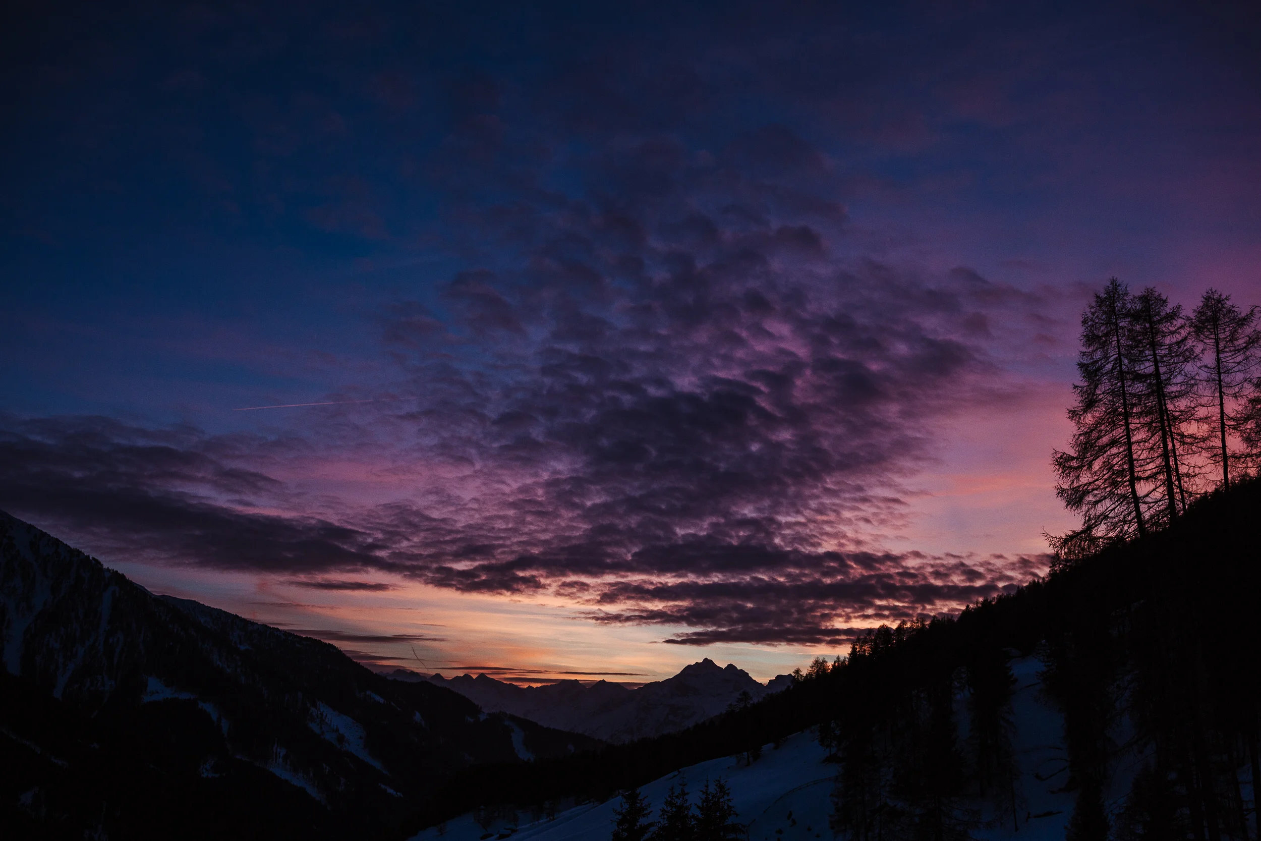 2019_Hubird von manuelaclemens.de (19 von 71).jpg