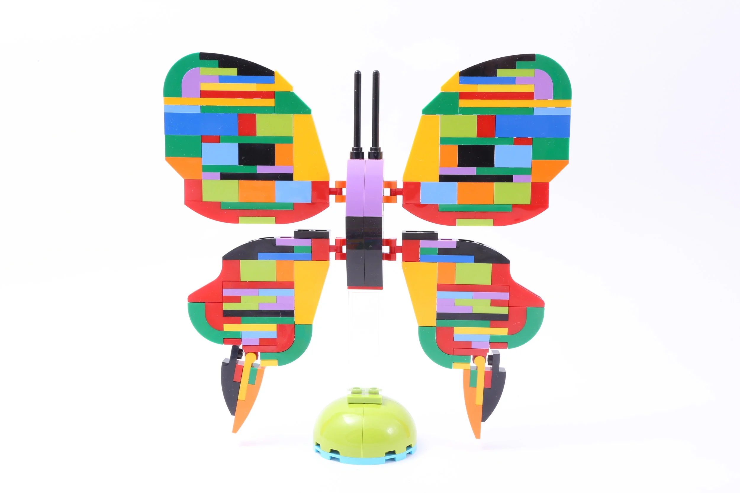 Summer Butterfly 2018