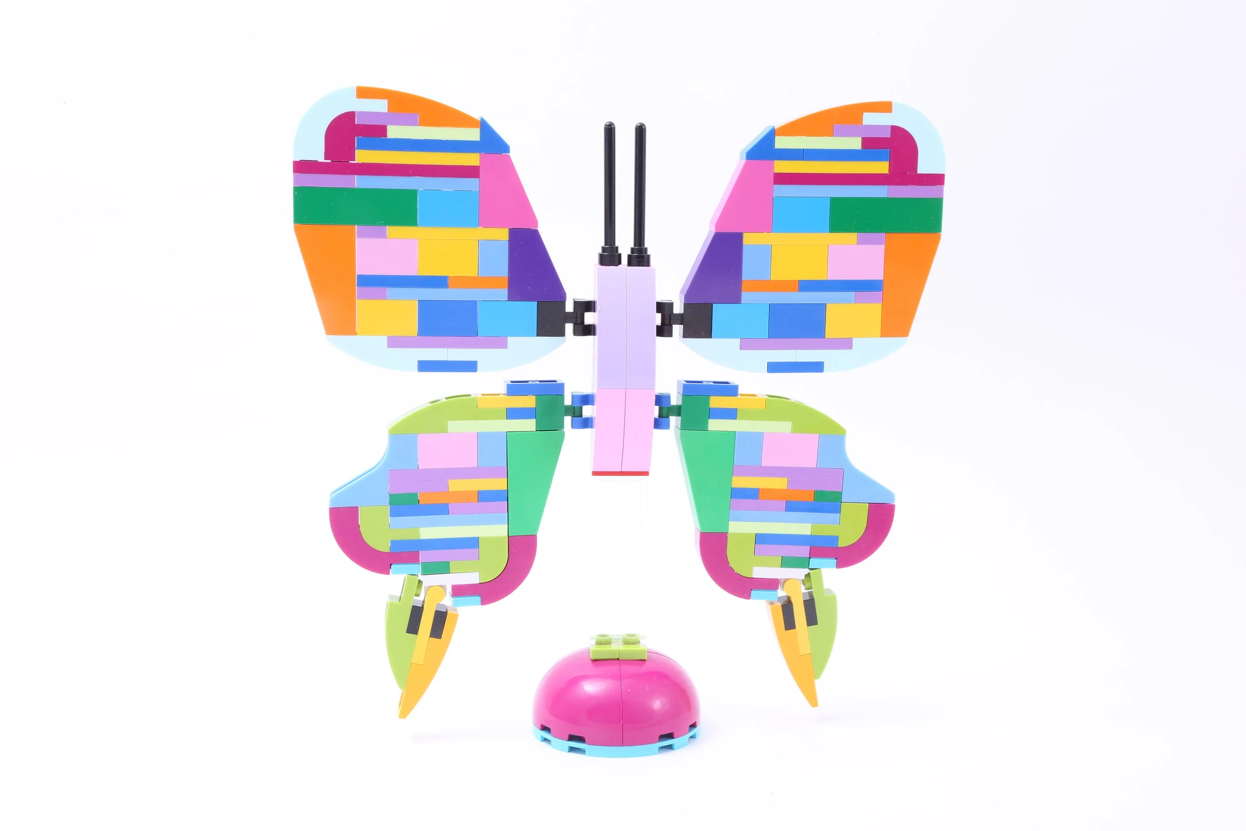 Spring Butterfly 2018