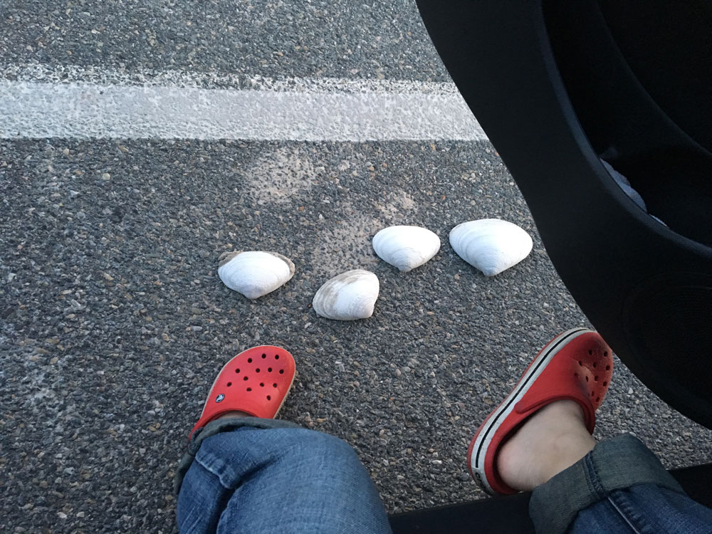 Crocs® rule, Stacey! 
