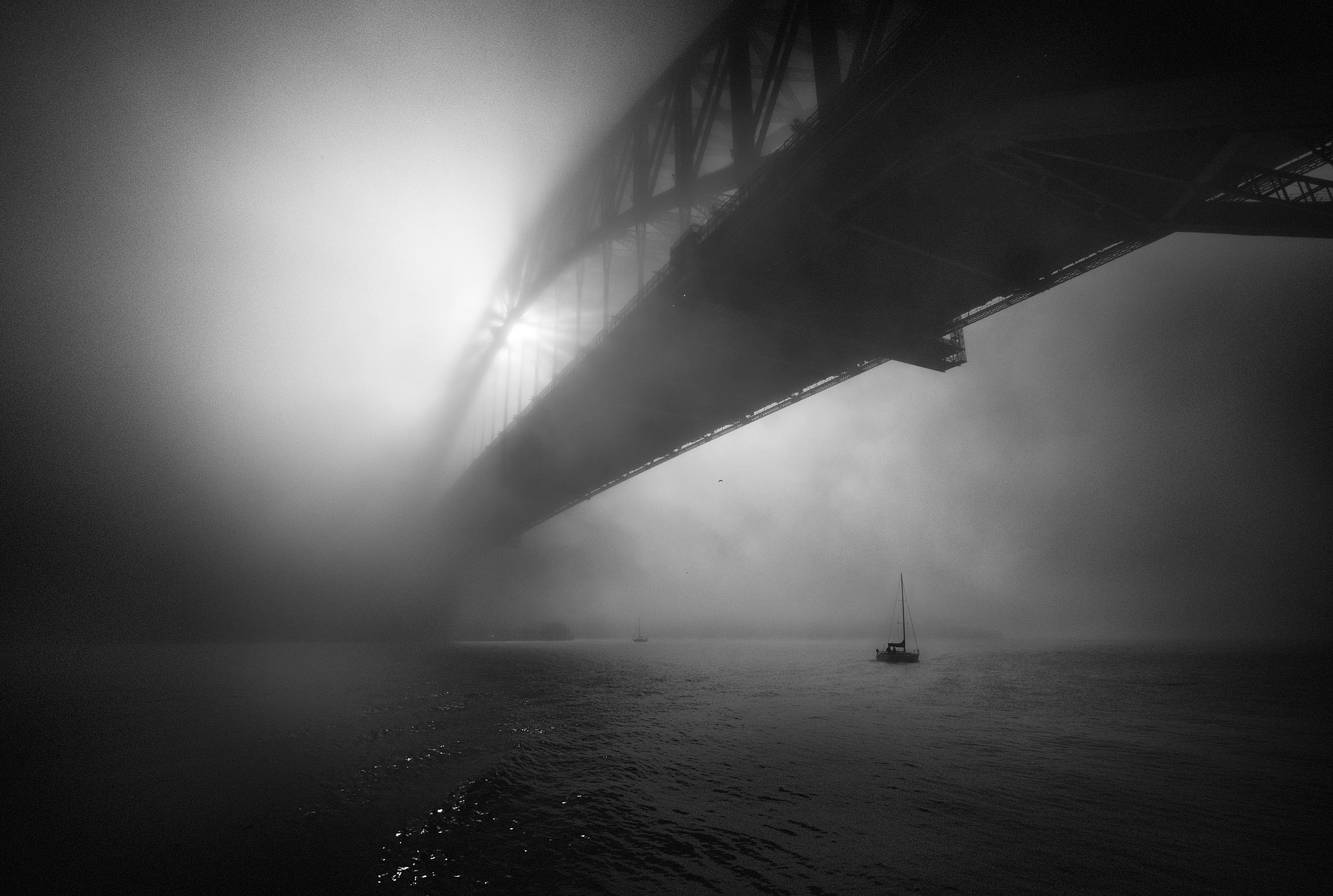 Morning Fog, Sydney