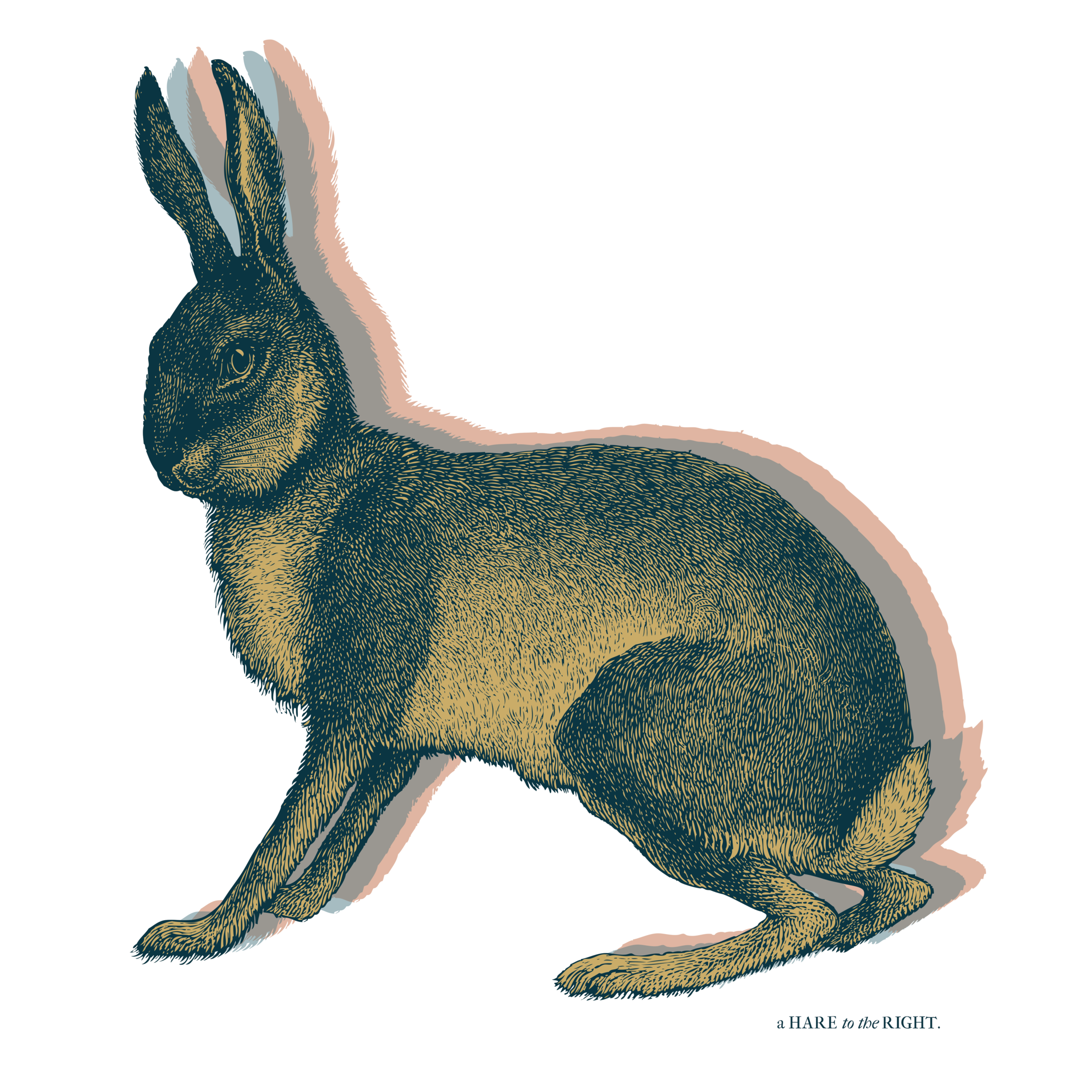 ART POSTER, "A HARE TO THE RIGHT"