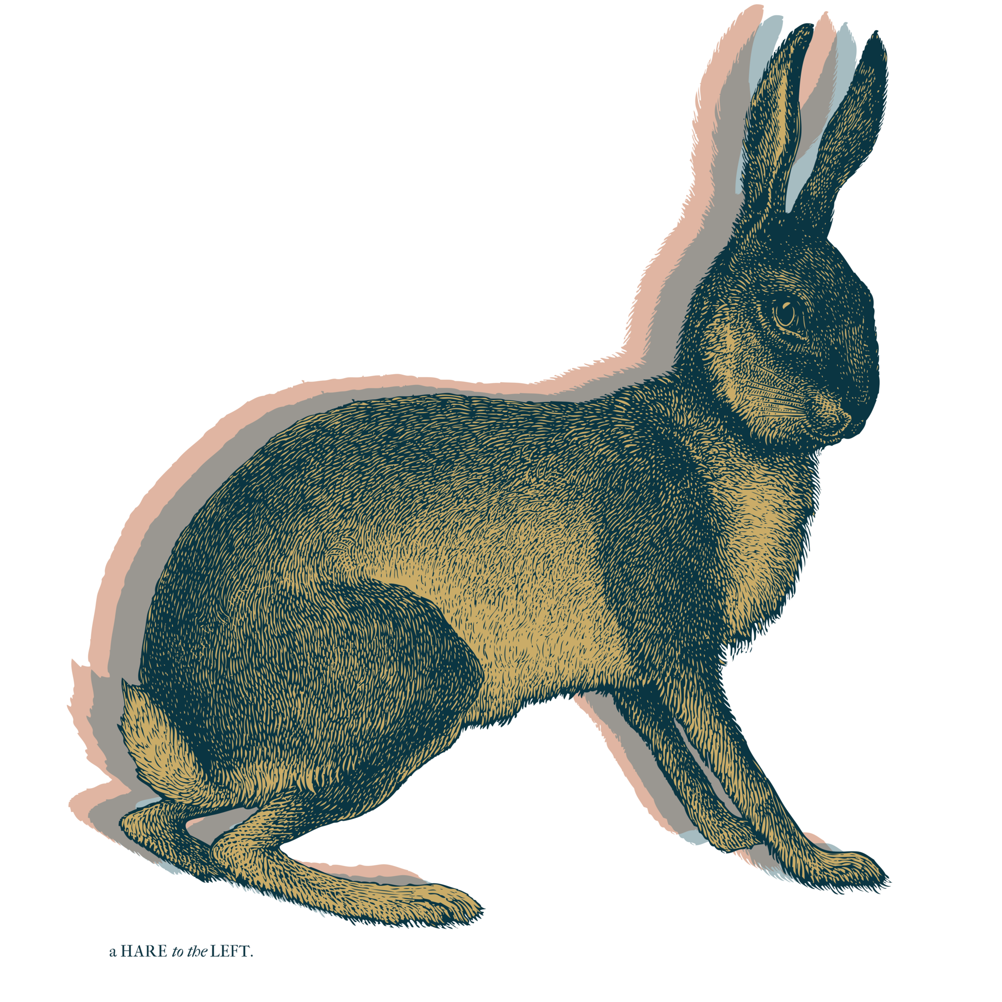 ART POSTER, "A HARE TO THE LEFT"