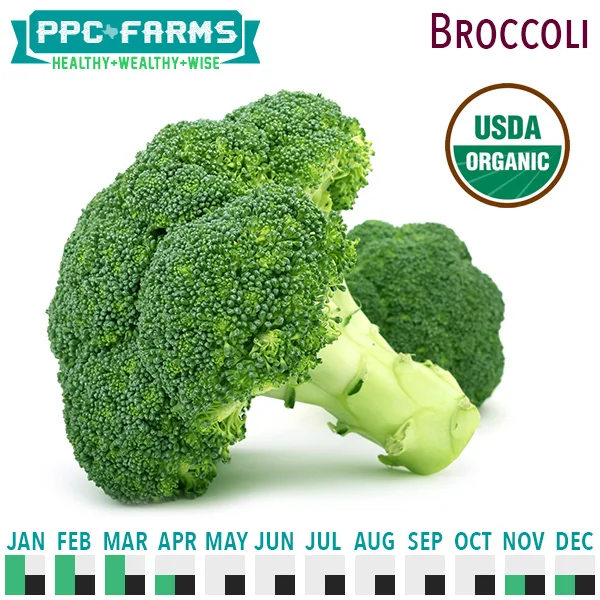Broccoli
