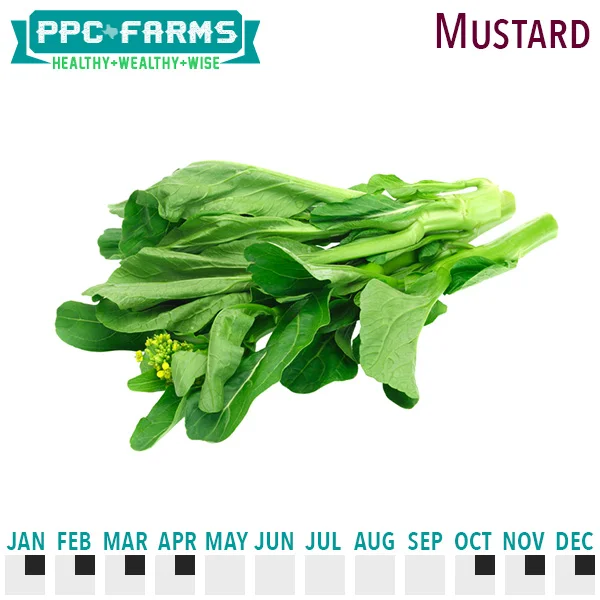 Mustard Greens