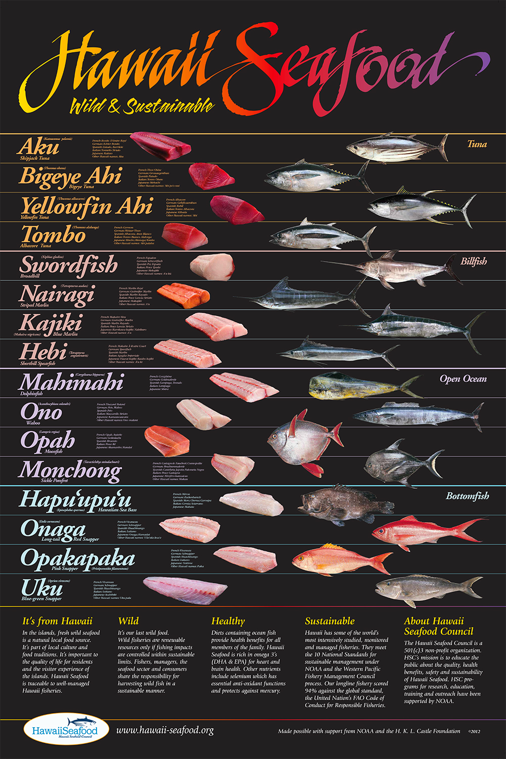 Hawaii Seafood Poster (24" x 36")