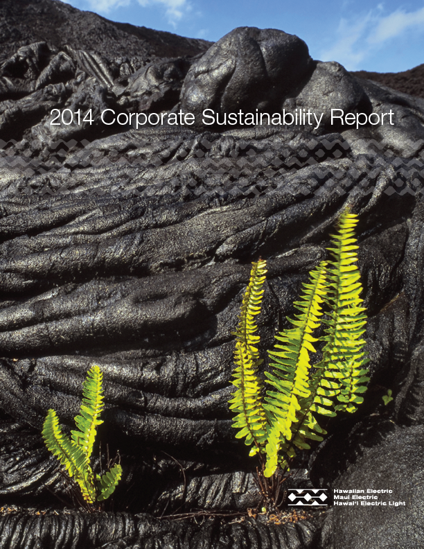 Annual Report