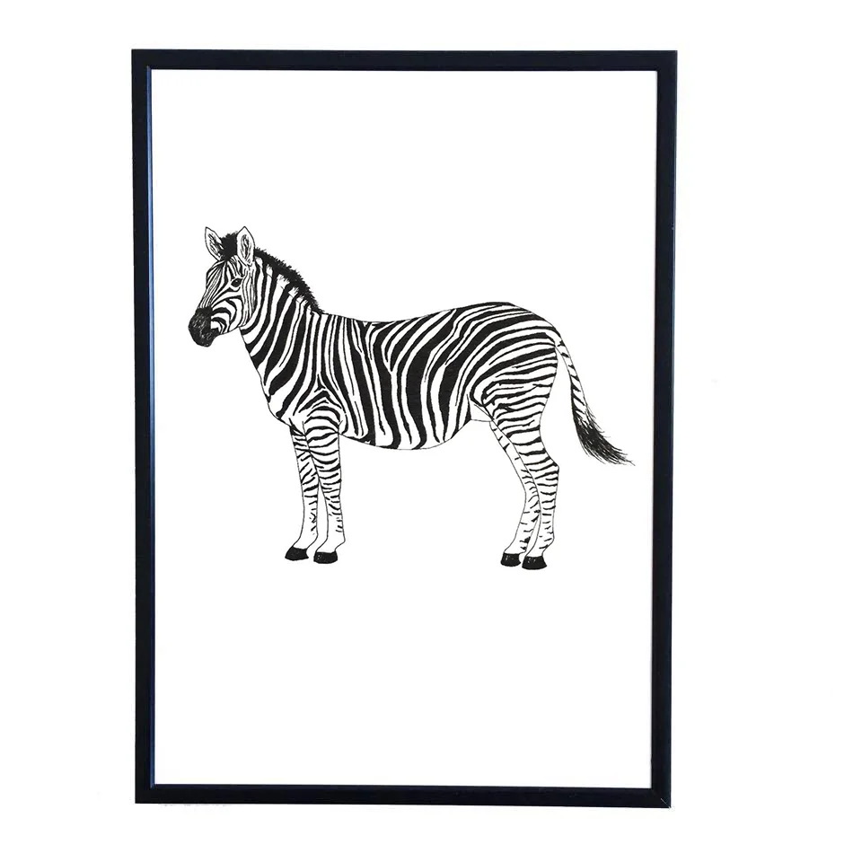 zebra2.jpg
