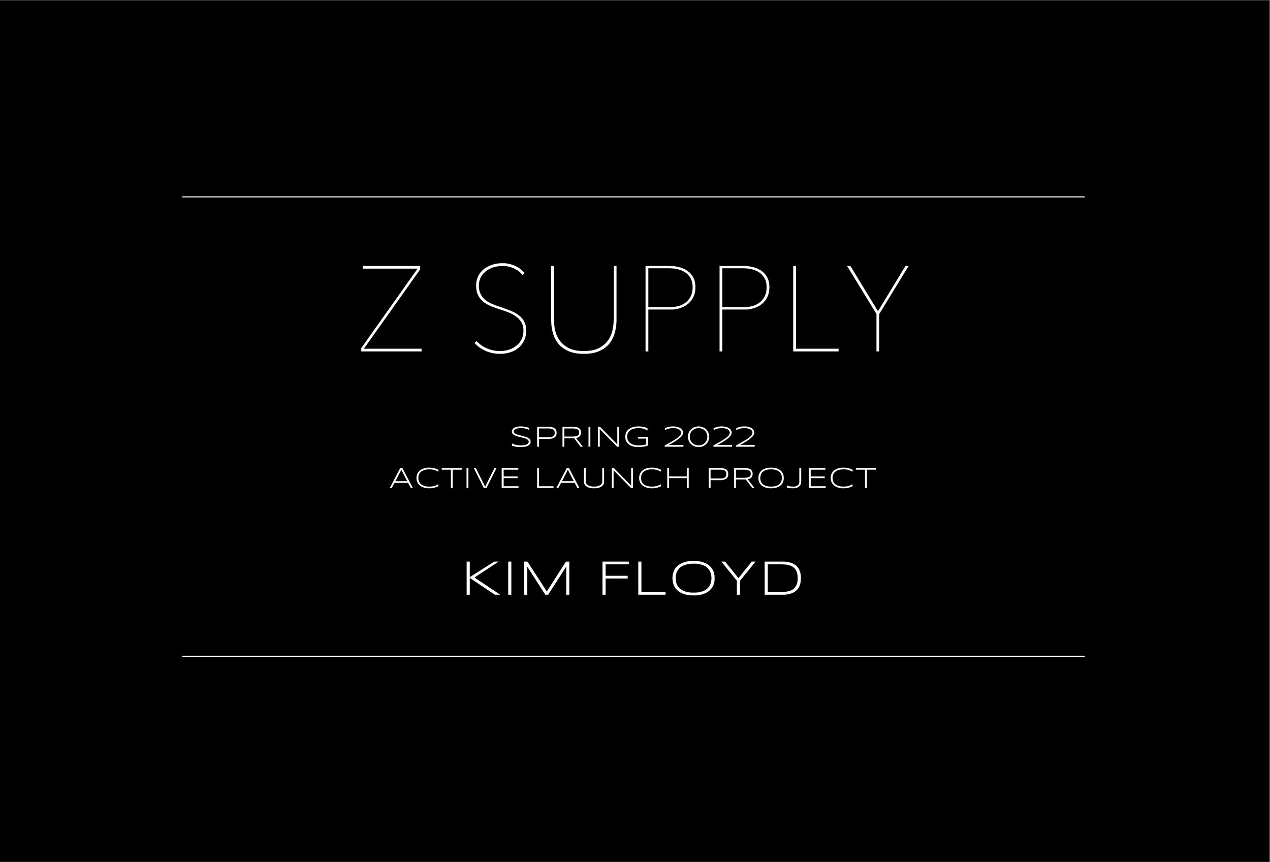 Z PROJECT-01.jpg
