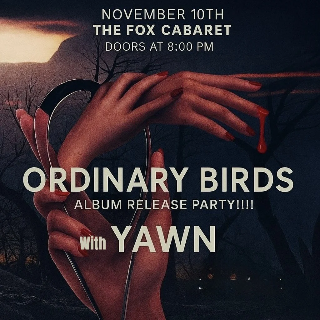 Ordinary Birds Album Release