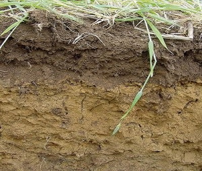 Products for Soil