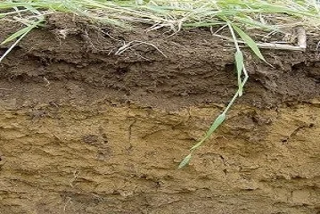 Applied Bio-minerals - ABM - MQE x4.jpg