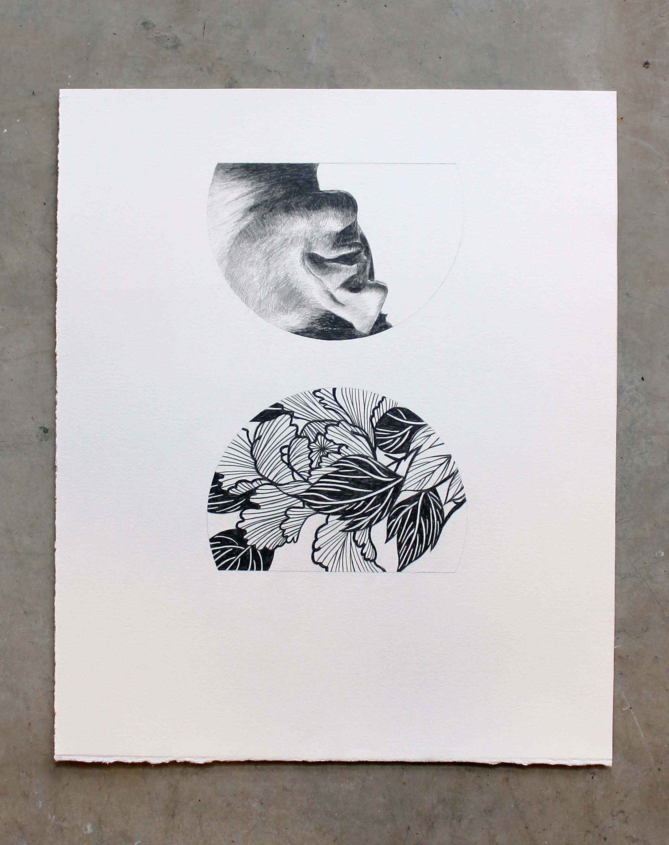 20 x 16"; graphite on watercolor paper