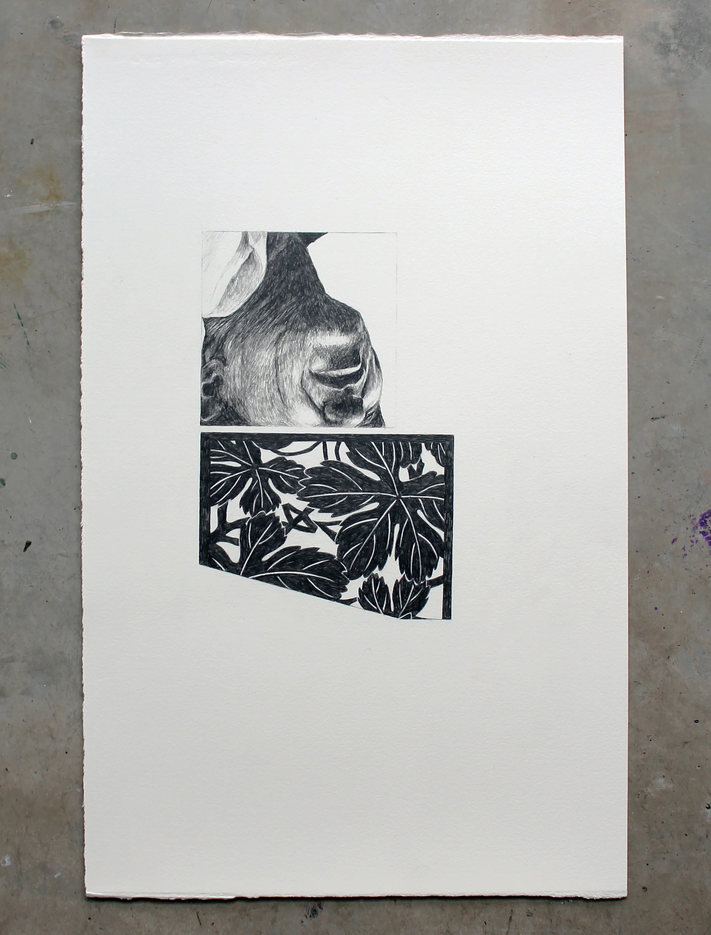 22 x 14"; graphite on watercolor paper