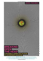 Breaking Open The Head by Daniel Pinchbeck