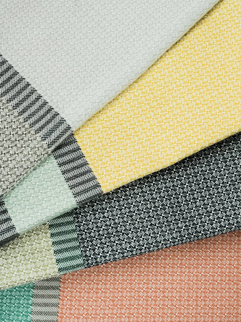 Mungo Bijou All.jpeg