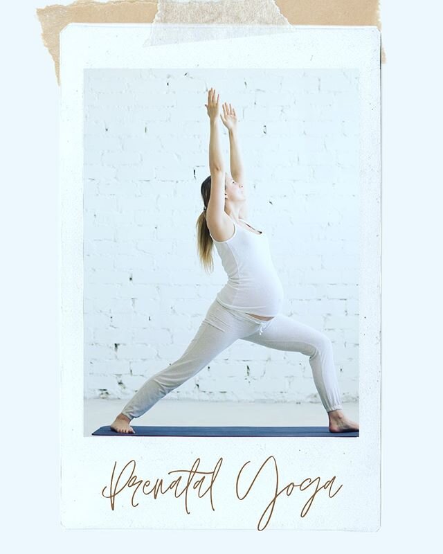 Prenatal Yoga ONLINE
Thursday 3/26 8pm PST

To purchase a yoga class head to:
https://www.mymohm.com/yoga

If you are a CURRENT student, just show up, virtually that is 😉

BUT FIRST:
You need the zoom link. I will post that link in bio on Thursday. 