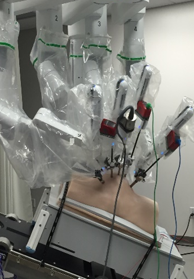 Surgical Simulation.png