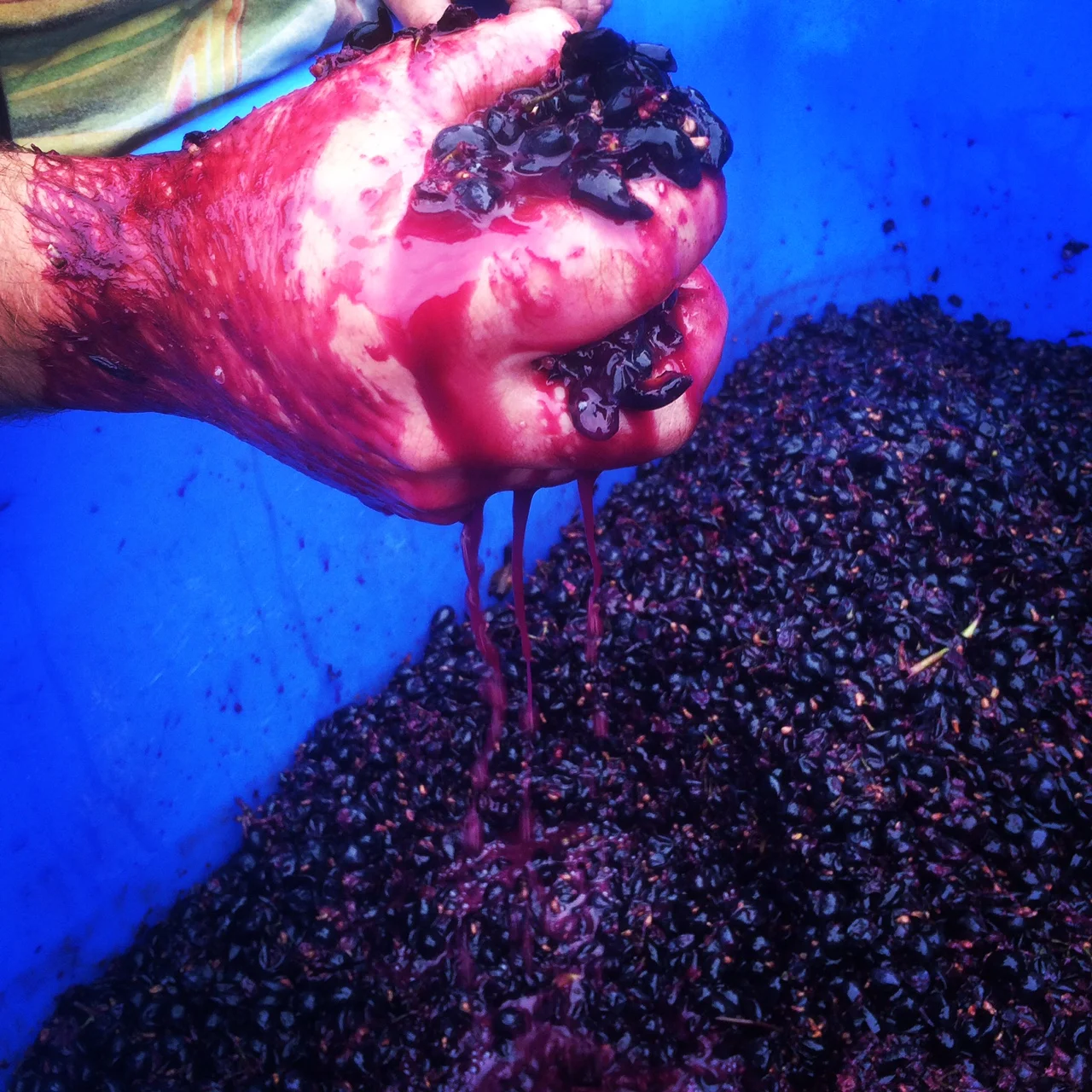 grape hand.jpg