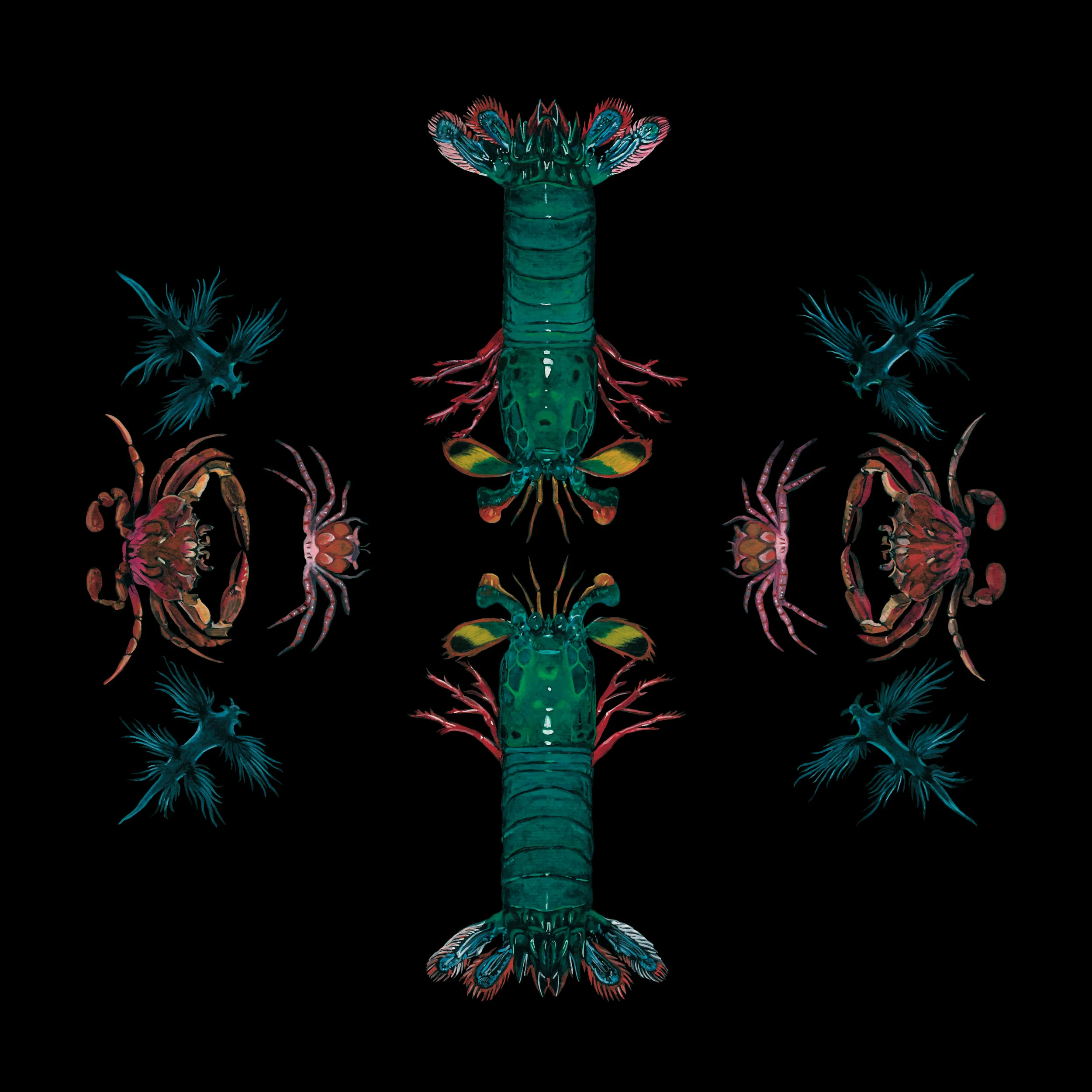 CrustaceanPlate_3_RGB2.jpg