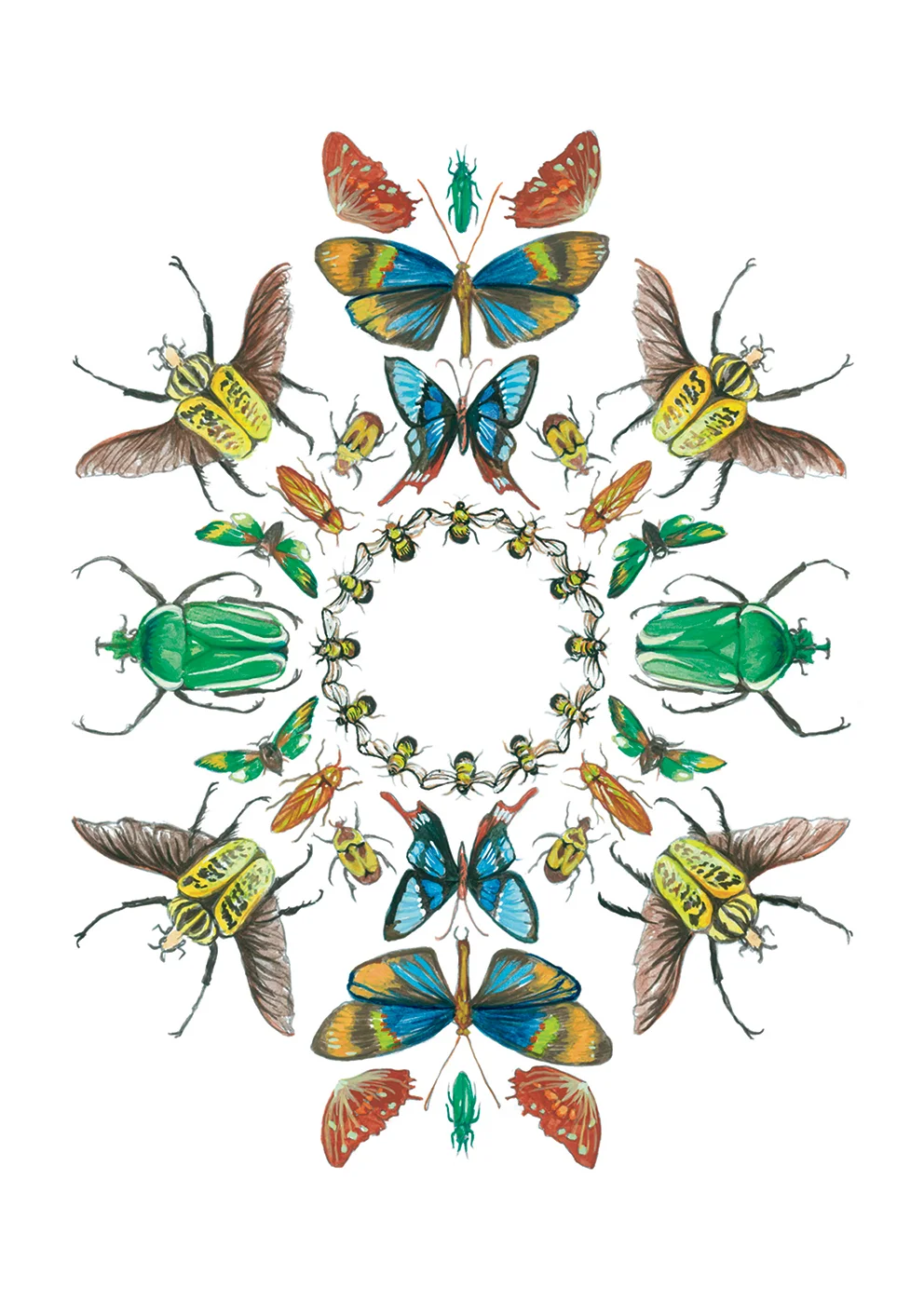 InsectCard_1_web.jpg