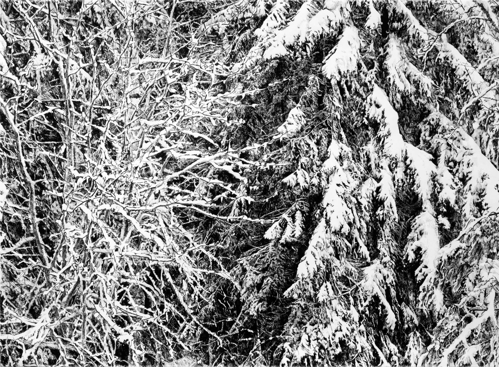 Snowfall, Korpo