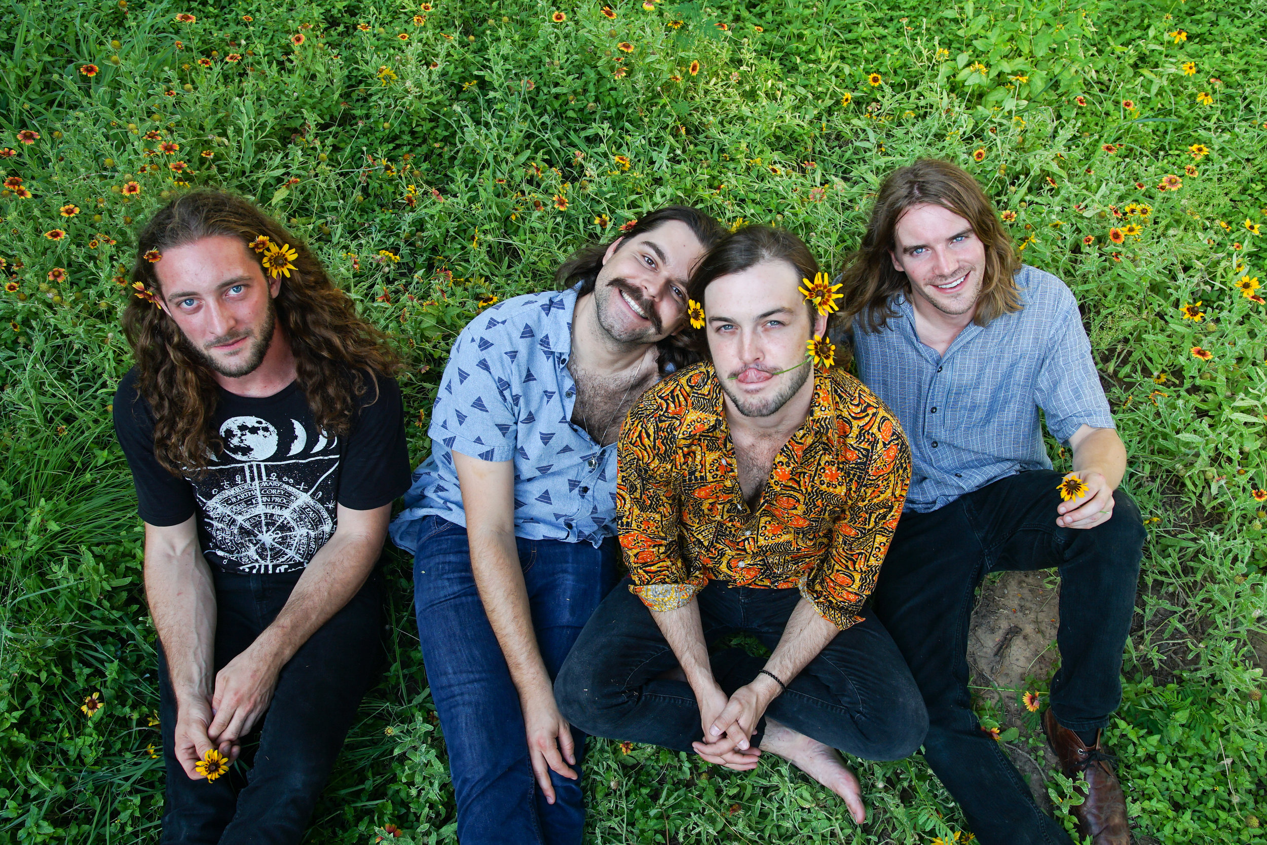 The Mammoths, Band