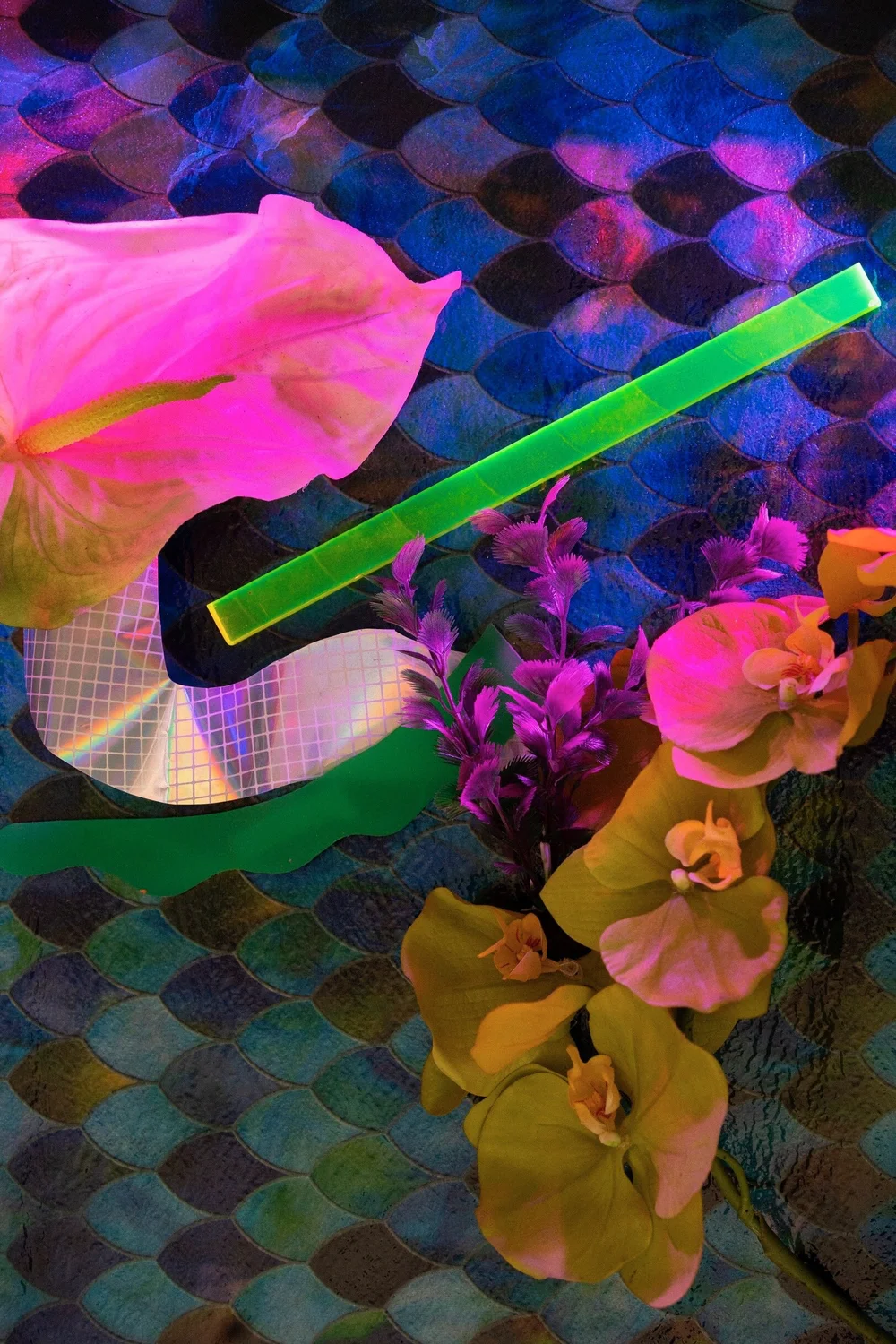 Synthetic Aesthetic Promo Image 2.jpeg