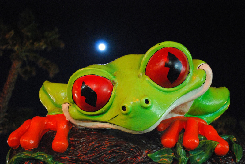 The True Story of the Rainforest Cafe is Even Wilder Than You Thought