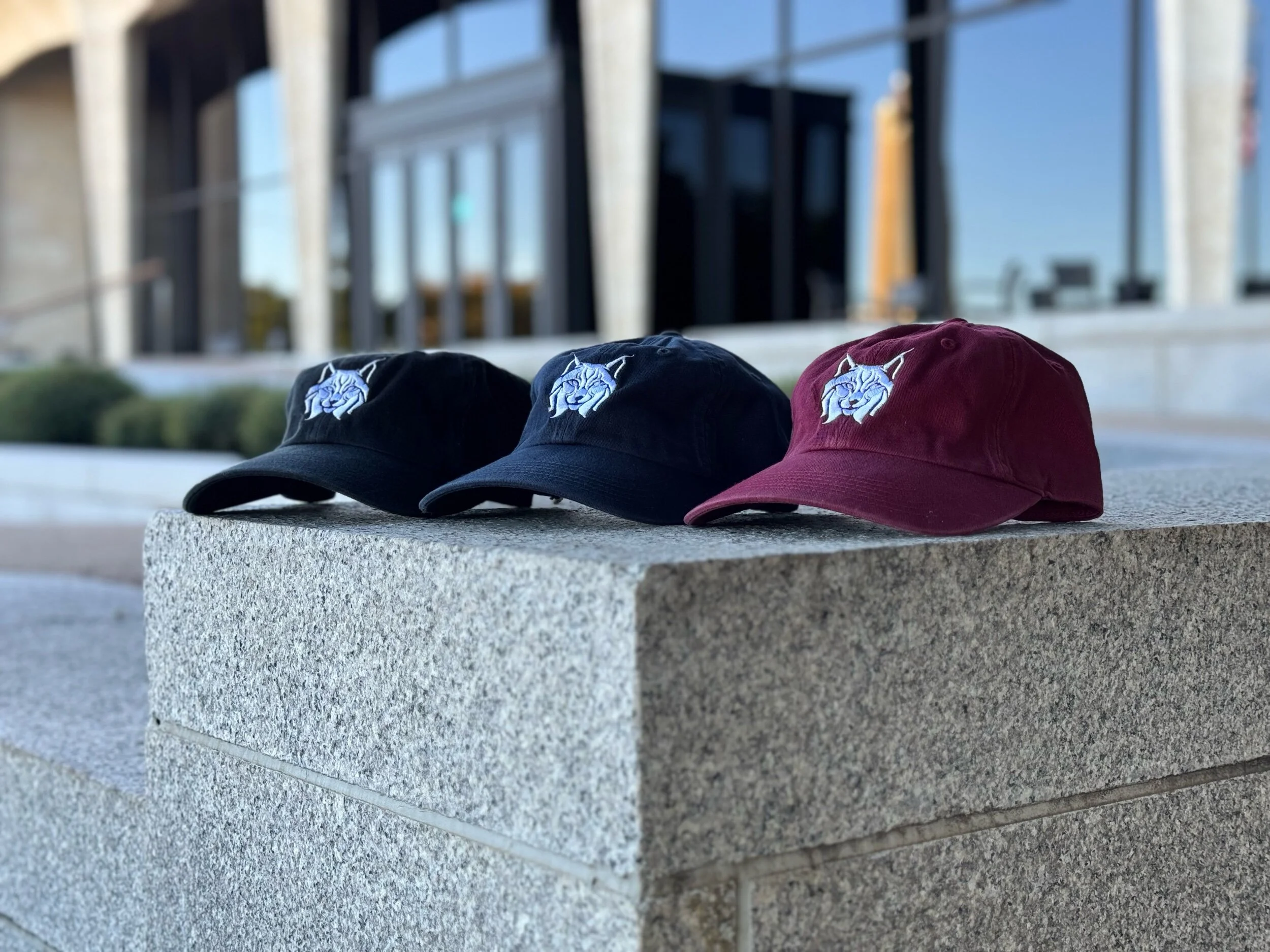 8ECD8262-0734-44B9-A89D-0A25D1BE8AA4