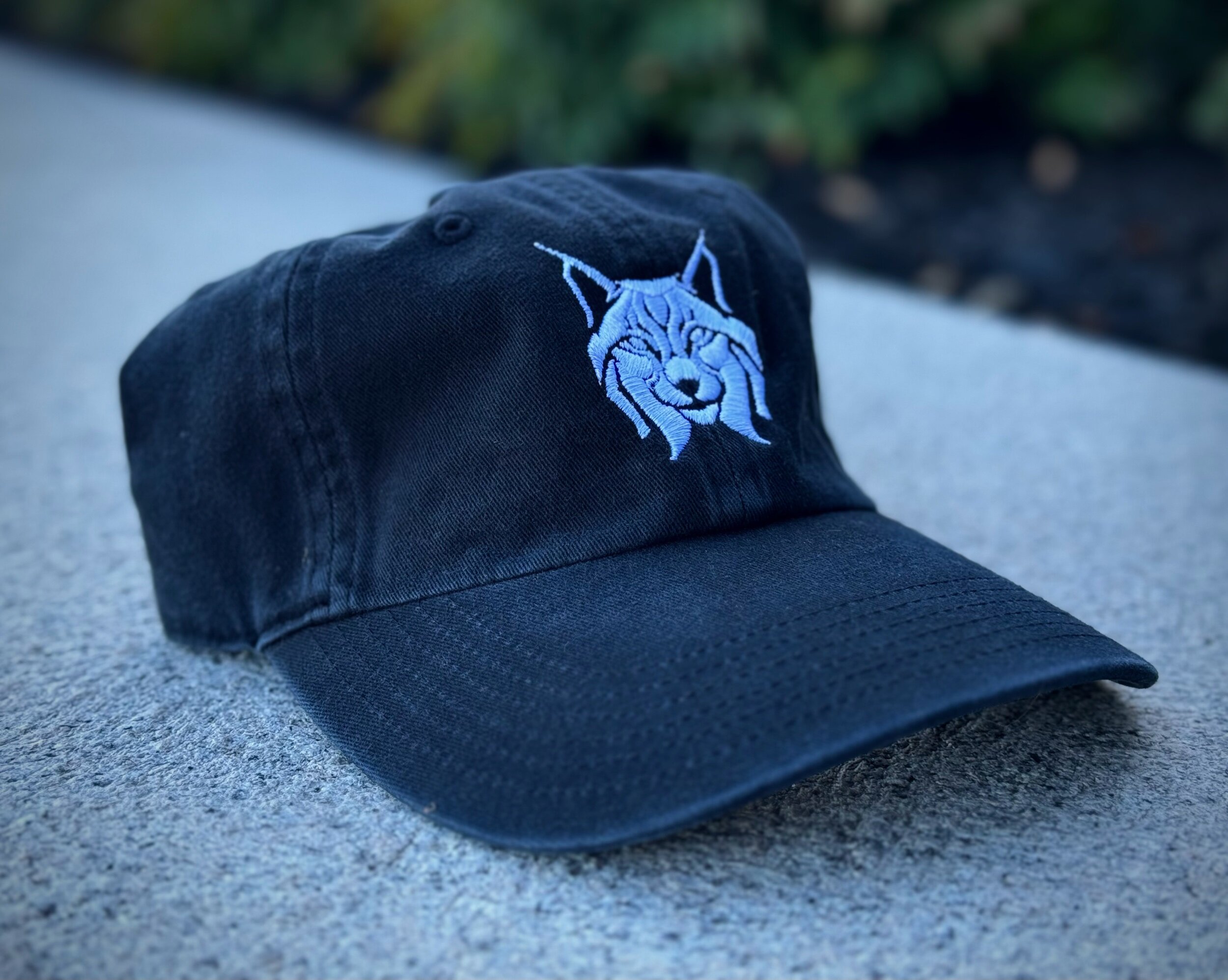 BEC50D3C-8943-442C-A545-4ACA66AEA8DD