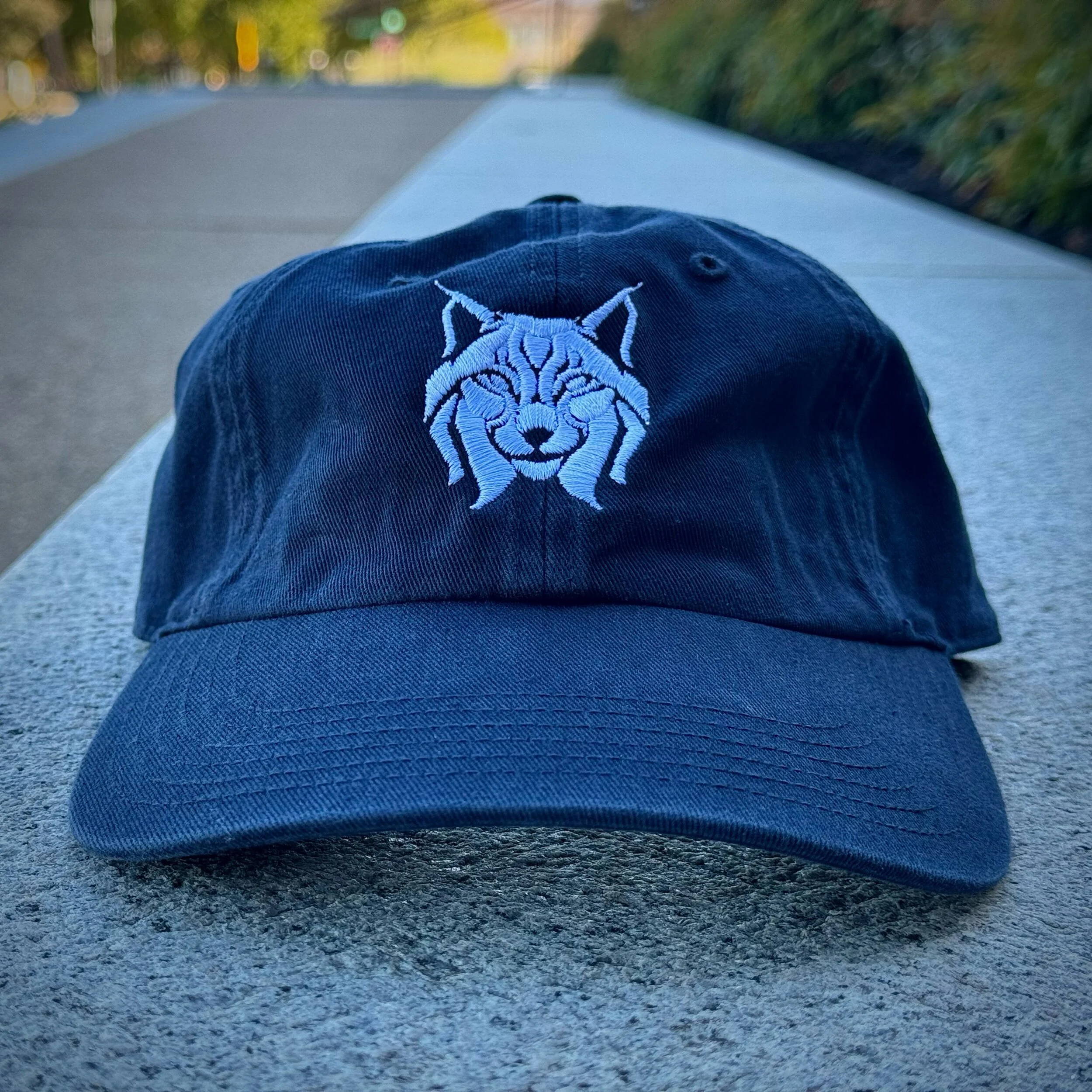 C0305C55-E083-438C-99D3-DFC50C247F0C