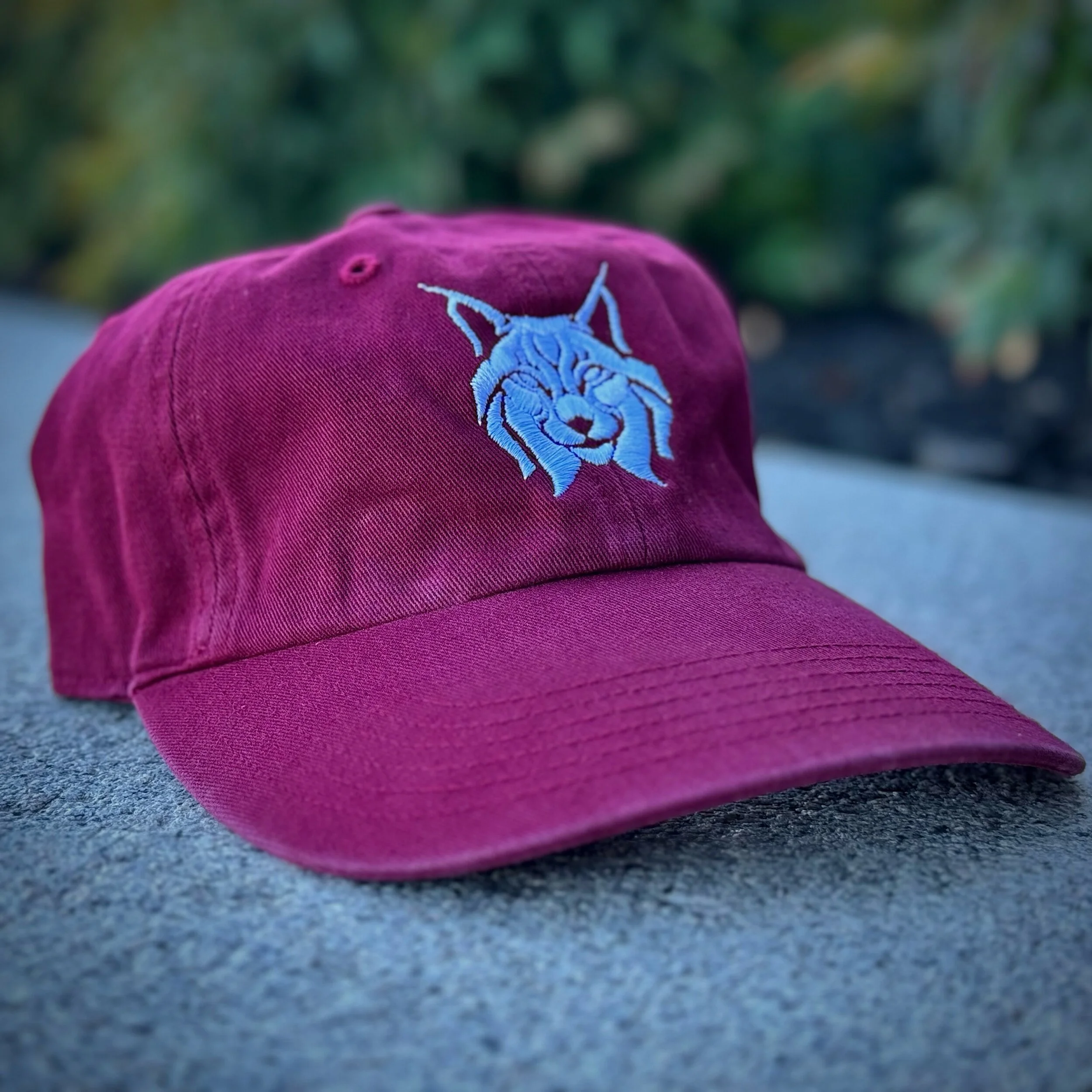 C5276D21-1C2D-4420-A549-C12EF2728314