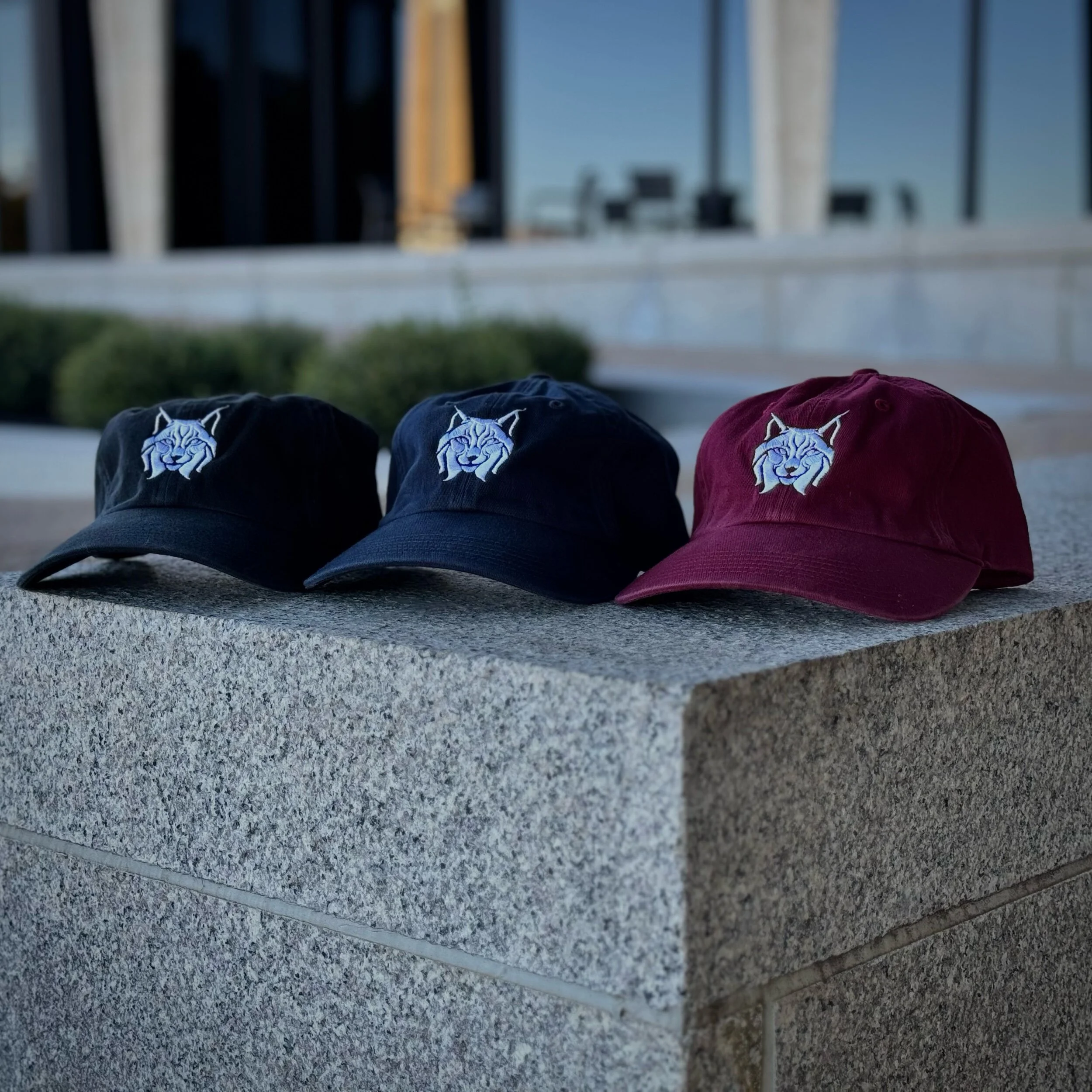 7F243679-05F3-41E1-8C3A-472F3FC83E78