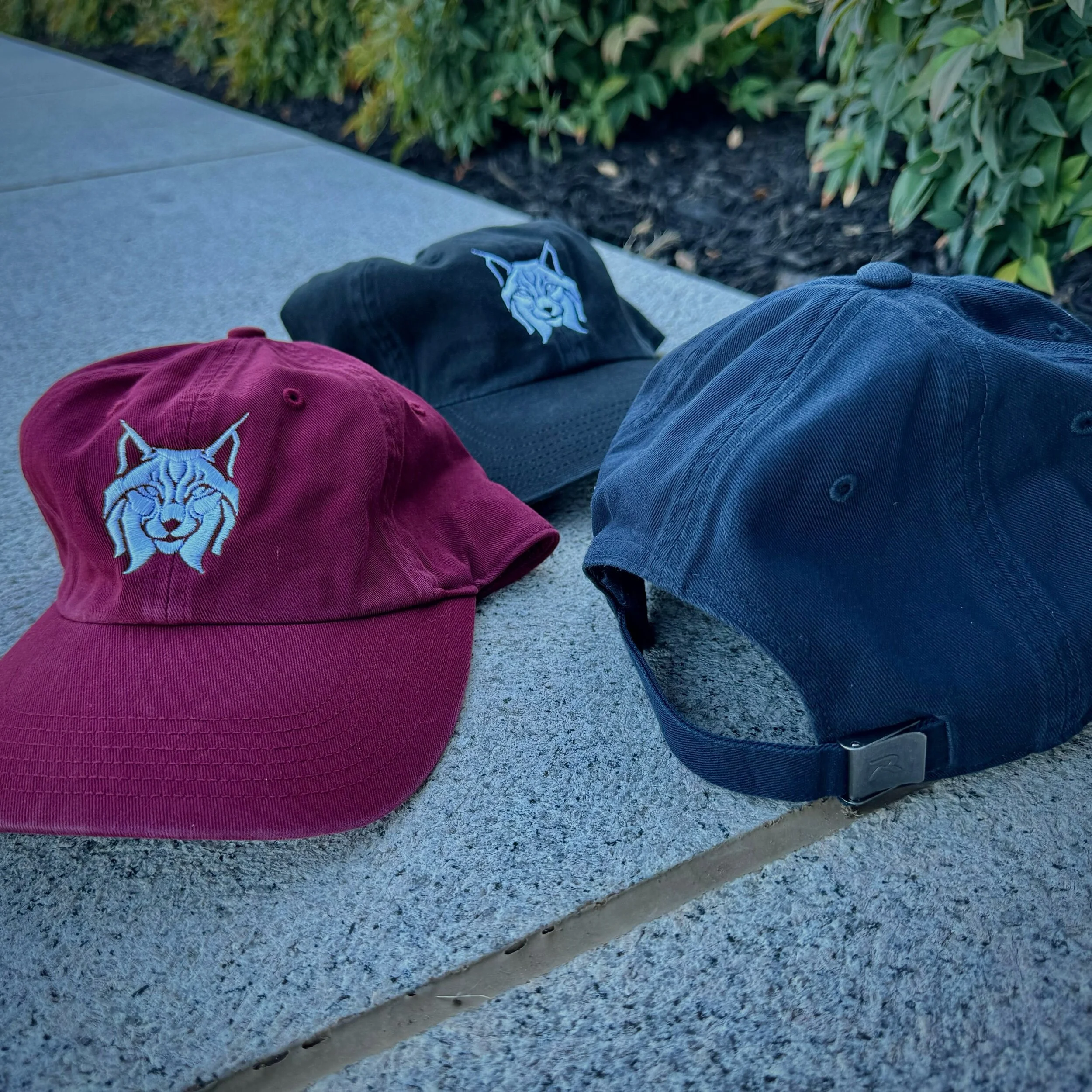 D561DDB8-D91F-425F-BFE0-AF94855A6F6F