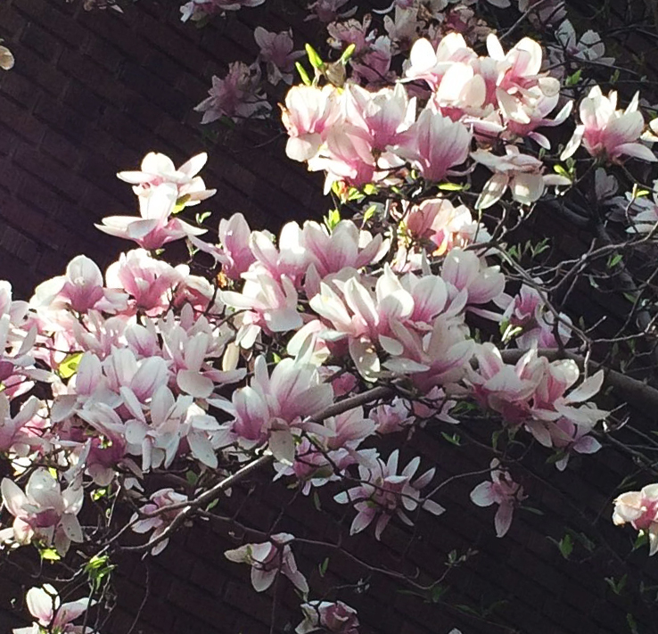 Spring_02a.jpg