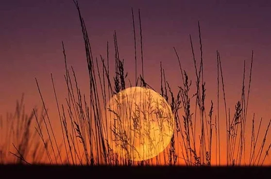 full corn moon.jpg