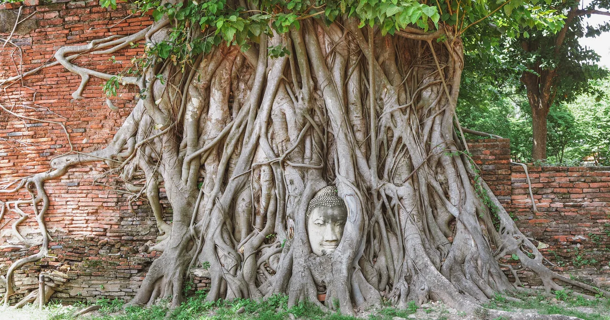 Ayuthaya • ancient city