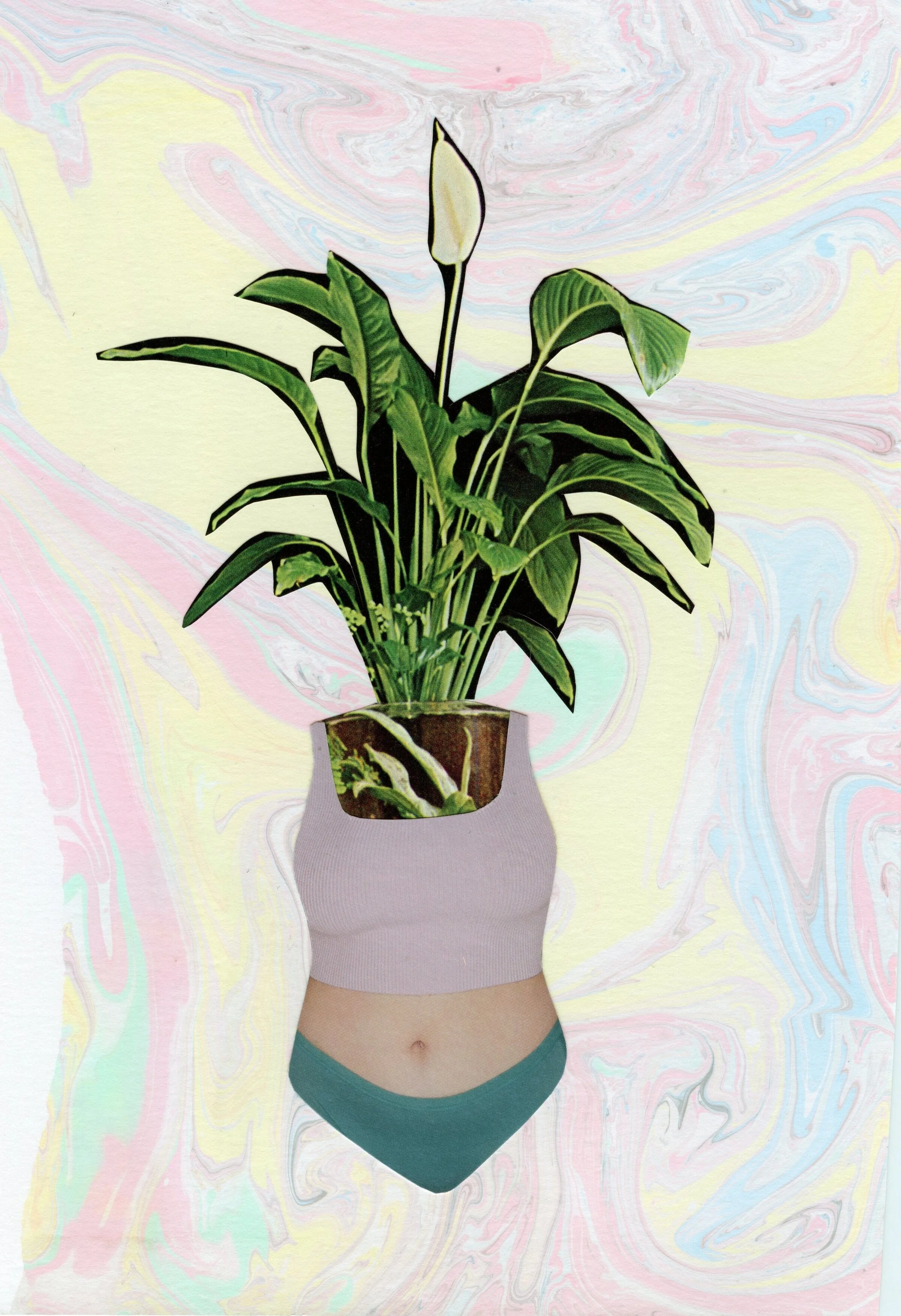 Houseplant Lady II.